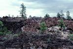 magma field, igneous rock, trees, NSAV01P13_18
