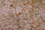 cracked earth, dried mud, Long Logs Trail, Dirt, soil, Craquelure, NSAV02P05_15.2569