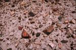 cracked earth, dried mud, Long Logs Trail, Dirt, soil, Craquelure