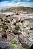 Petrified Tree debris, Long Logs Trail, hills, NSAV02P06_02