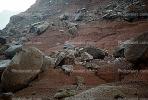 Boulder debris field