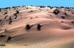 Sand Dunes, NSAV03P04_12