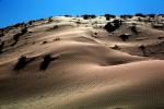 Sand Dunes, NSAV03P04_13