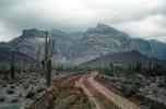 Dirt Road, Mountain, Cactus, unpaved, NSAV03P13_02