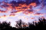 sunset clouds, NSAV03P15_16