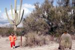 Saguaro Cactus, Desert, Child, NSAV04P05_09