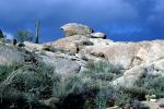 Rocks, Cactus, Bush, NSAV04P06_08