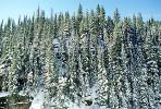 Trees, snow, cold, steep, NSCV01P13_11