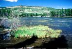 Sprague Lake and the Continental Divide, water, NSCV02P04_05
