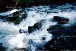 River, rapids, whitewater, turbulent, NSCV02P05_12