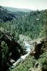 rugged river with forest, trees, valley, NSCV03P05_12
