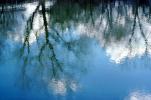 water reflections, NSCV03P08_07