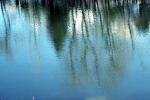 water reflections, NSCV03P08_08