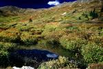 Mountain, Fall Colors, Autumn, Vegetation, Flora, Plants, Colorful, Exterior, Outdoors, Outside, NSCV03P08_16