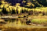 Lake, River, bucolic, Mountain, Forest, Aspen Trees, Woodland, autumn, water, NSCV03P10_18