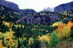 Mountain, Forest, Aspen Trees, Woodland, autumn, NSCV03P11_08