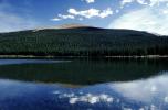 Woodland, trees, hills, mountains, reflection, lake, water, NSCV03P13_03