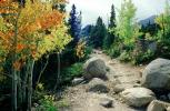 Path, Boulders, Rocks, Forest, Aspen Trees, Woodland, autumn, Equanimity, NSCV03P13_13