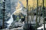 Waterfall, Woodland, aspen trees, fog, NSCV03P13_17