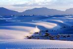 White Sands National Monument, New Mexico, NSMV01P02_06B