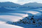 White Sands National Monument, New Mexico, NSMV01P02_11