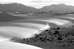 Sand Texture, Dunes, NSMV01P02_11BW