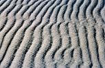 Sand Texture, NSMV01P03_15