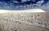 White Sands National Monument, New Mexico, NSMV01P05_15