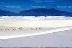 White Sands National Monument, New Mexico, NSMV01P10_06