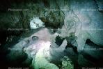 Stalactite, Cave, underground, cavern, fairy tale land, NSMV01P12_13
