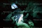 Stalactite, Cave, underground, cavern, fairy tale land, NSMV01P12_14