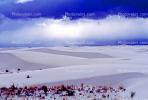 White Sands National Monument, New Mexico, NSMV02P02_10