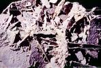 Selenite, White Sands National Monument, New Mexico, Gypsum Crystals, NSMV02P03_09