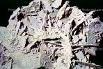 Selenite, White Sands National Monument, New Mexico, Gypsum Crystals, NSMV02P03_12