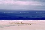 White Sands National Monument, New Mexico, NSMV02P04_06