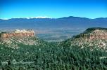forest, mountain range, near Los Alamos, NSMV03P02_08