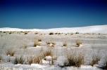 White Sands National Monument, New Mexico, NSMV03P02_15