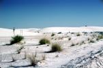 White Sands National Monument, New Mexico, NSMV03P02_16