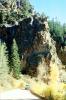 Aspen Trees, Santa-Fe SkI Basin Road, trees, forest, woodland, NSMV03P03_16