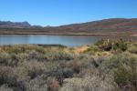 Lower Pahranagat Lake, Wetlands, Lake, Water, Bush