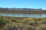 Lower Pahranagat Lake, Wetlands, Lake, Water, Bush, Mountain Range, NSND01_082