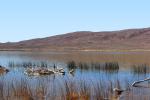 Lower Pahranagat Lake, Wetlands, Lake, Water, Reeds, NSND01_085