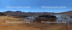 Lower Pahranagat Lake, Wetlands, Lake, Water, Reeds, NSND01_086