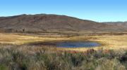 Lower Pahranagat Lake, Wetlands, Lake, Water, Reeds, Pond, NSND01_090