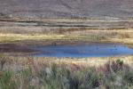 Lower Pahranagat Lake, Wetlands, Lake, Water, Reeds, NSND01_091