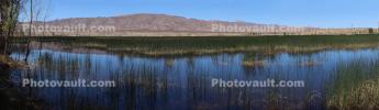 Middle Marsh, Wetlands, Lake, Water, Reeds, Mountain Range, Pahranagat National Wildlife Refuge, NSND01_093