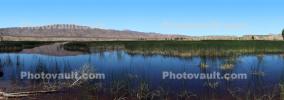 Middle Marsh, Wetlands, Lake, Water, Reeds, Mountain Range, Pahranagat National Wildlife Refuge, NSND01_094