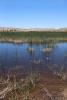 Middle Marsh, Wetlands, Lake, Water, Reeds, Pahranagat National Wildlife Refuge, Nevada, NSND01_095