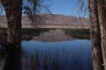 Middle Marsh, Wetlands, Lake, Water, Reeds, Pahranagat National Wildlife Refuge, Nevada, NSND01_099