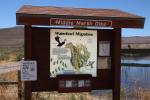 Middle Marsh Dike, Pahranagat National Wildlife Refuge, Nevada, NSND01_100
